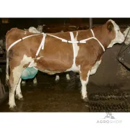 Tesmeņa aizsargs ar krūšu un kakla siksnu L