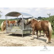 Barotava ar zirgiem ganībās