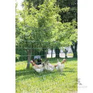 Elektriskā gana tīkls PoultryNet vistām 1,06x50m ar atbalstu