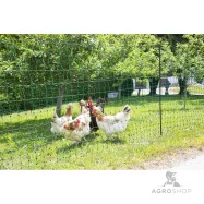 Elektriskā gana tīkls PoultryNet vistām 1,06x50m ar atbalstu