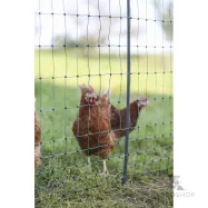 Elektriskais žogs putniem PoultryNet Premium 1,06x25m ar dubultajiem asmeņiem