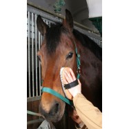 Zirgu suka Kerbl Brush&Co 17cm