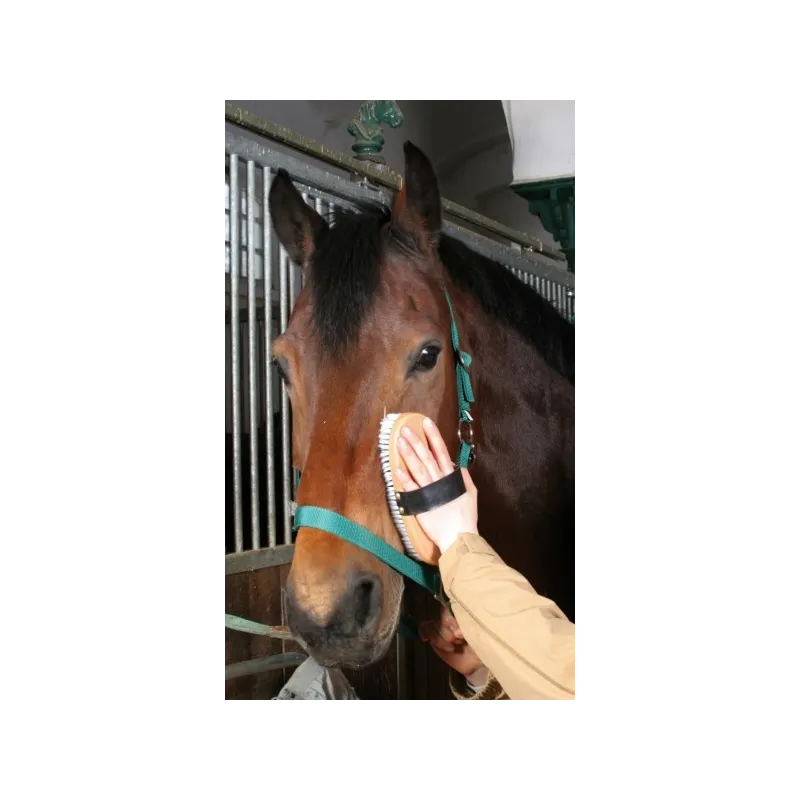 Zirgu suka Kerbl Brush&Co 22cm