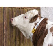 Kakla siksna ar marķējuma numuru govīm Kerbl balta/melna 4x120cm