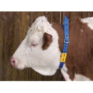Kakla siksna ar marķējuma numuru govīm Kerbl zila 4x135cm