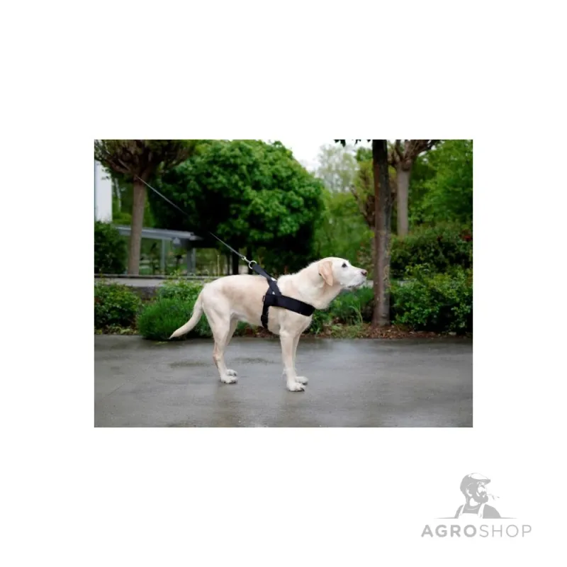 Iejūgs suņiem Miami Plus 60-75cm