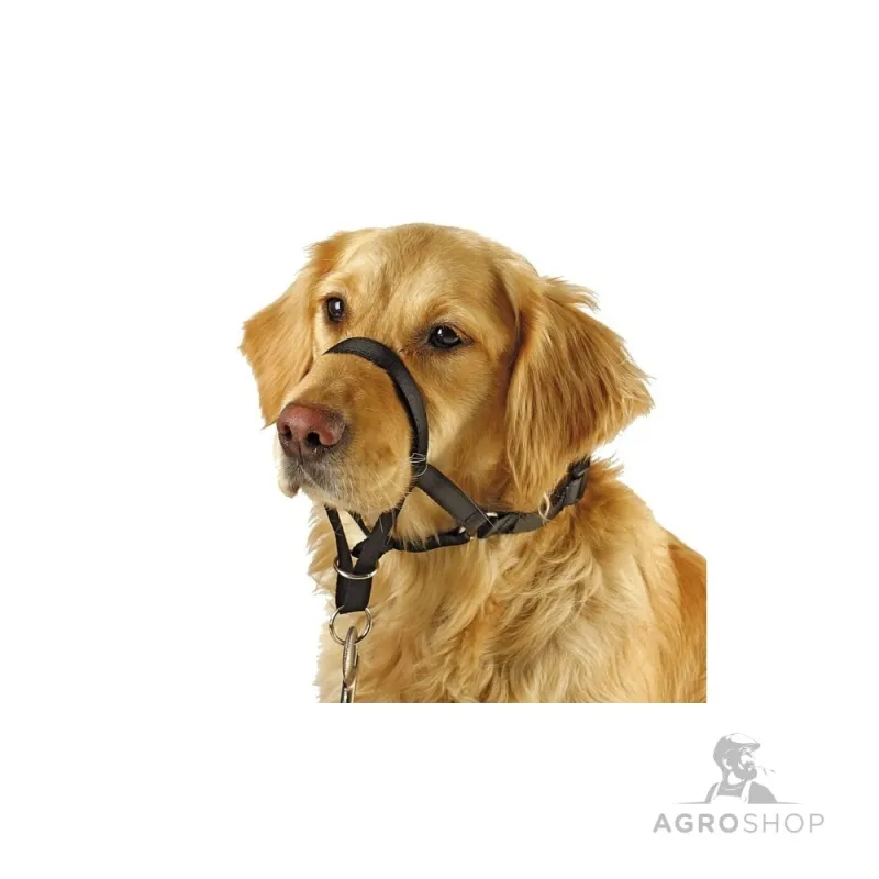 Apmācību pavada Maxi Coach 32cm