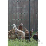 Elektriskā žogs putniem PoultryNet Premium