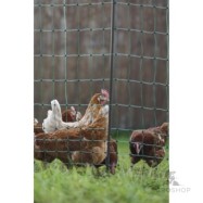Elektriskā žogs putniem PoultryNet Premium 1,22x50m