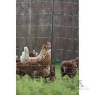 Elektriskā žogs putniem PoultryNet Premium