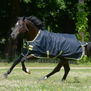 Zirgu āra sega Bucas Oasis Turnout 100g ar kakla daļu