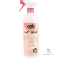 Spīduma līdzeklis Easy Shine Ravene 750ml