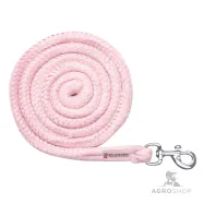 Pastaigu pavada Economic Waldhausen