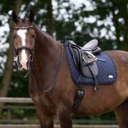 Sviedrene Pro Performance DR HV Polo
