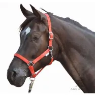 Apauši Stars HKM
