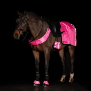 Zirgu sega treniņiem Reflective Imperial Riding