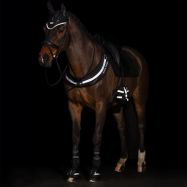 Ausis Luminous Imperial Riding