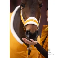 Apauši Arezzo Lauria Garrelli