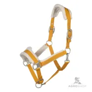 Apauši Arezzo Lauria Garrelli