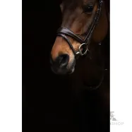 Iemaukti  Arezzo Lauria Garrelli Iemaukti  Arezzo Lauria Garrelli