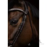 Iemaukti  Arezzo Lauria Garrelli Iemaukti  Arezzo Lauria Garrelli