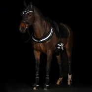 Purngalu sildītāji Luminous Imperial Riding
