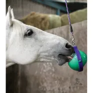 Garlaicības novērsējs  Boredom Buster Likit