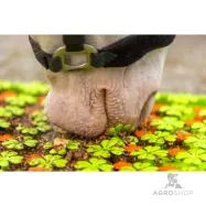 Kārumu paklājiņš Snuffle Mat Wahlsten