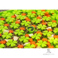 Kārumu paklājiņš Snuffle Mat Wahlsten