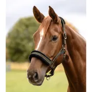 Apauši Elegant Waldhausen Apauši Elegant Waldhausen