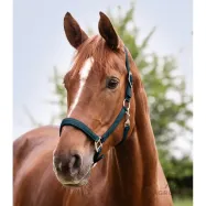 Apauši Satin Waldhausen Apauši Satin Waldhausen