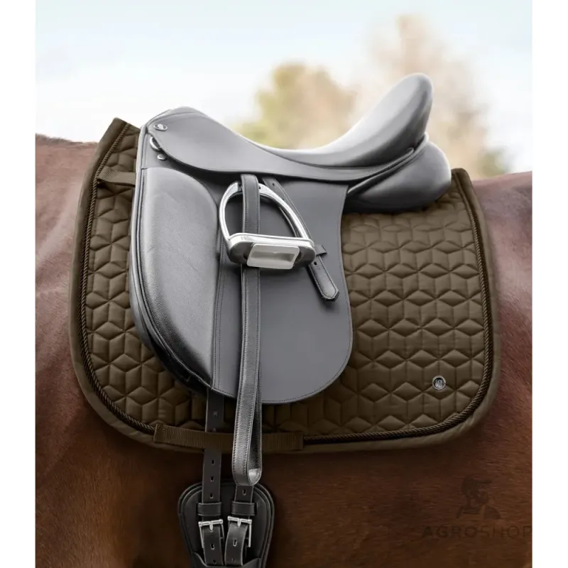 Iejādes sviedrene Philadelphia Waldhausen