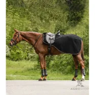 Zirgu sega treniņiem Modern Rose Waldhausen