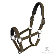 Apauši St.Gallen Waldhausen