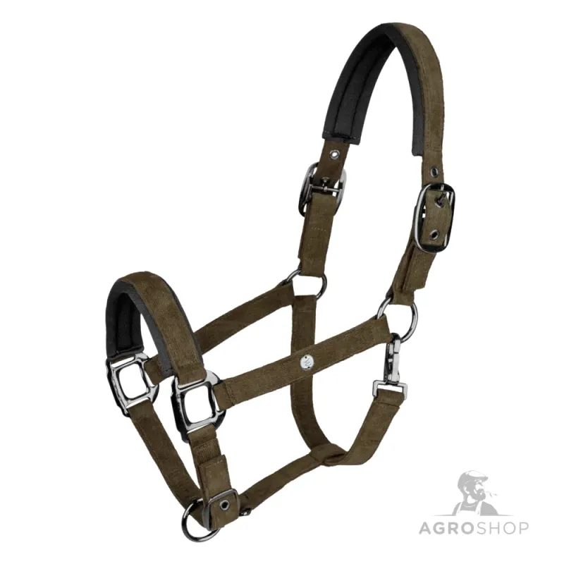 Apauši St.Gallen Waldhausen