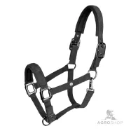 Apauši St.Gallen Waldhausen