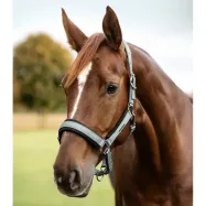 Apauši Soft Touch Waldhausen