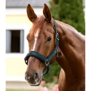 Apauši Soft Touch Waldhausen