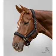 Apauši Soft Touch Waldhausen