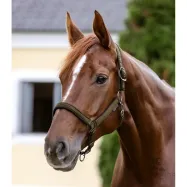 Apauši Athletic Waldhausen