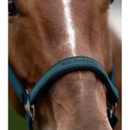 Apauši Athletic Waldhausen