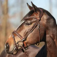 Iemaukti Everyday Oiled Leather Kavalkade