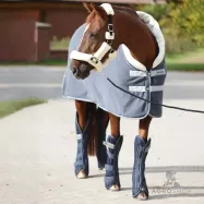 Transportēšanas kāju aizsargi Montreal 4 Kavalkade