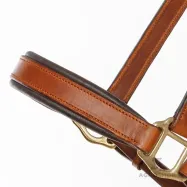 Ādas apauši Cinta Kavalkade