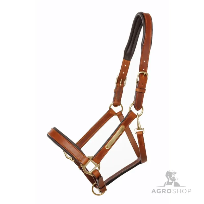 Ādas apauši Cinta Kavalkade