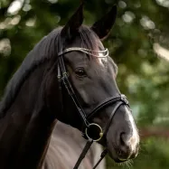 Pieres siksna Clincher Duo Kavalkade