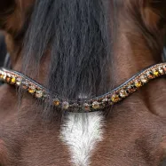 Pieres siksna Dazzle Kavalkade