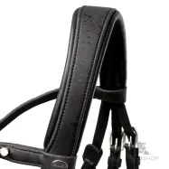 Iemaukti Cortica Veg Kavalkade