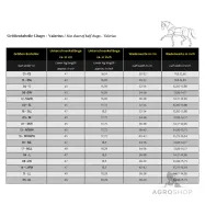 Stulmi Valerius Kavalkade