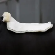 Aitādas seglu palikniss Pure Kavalkade